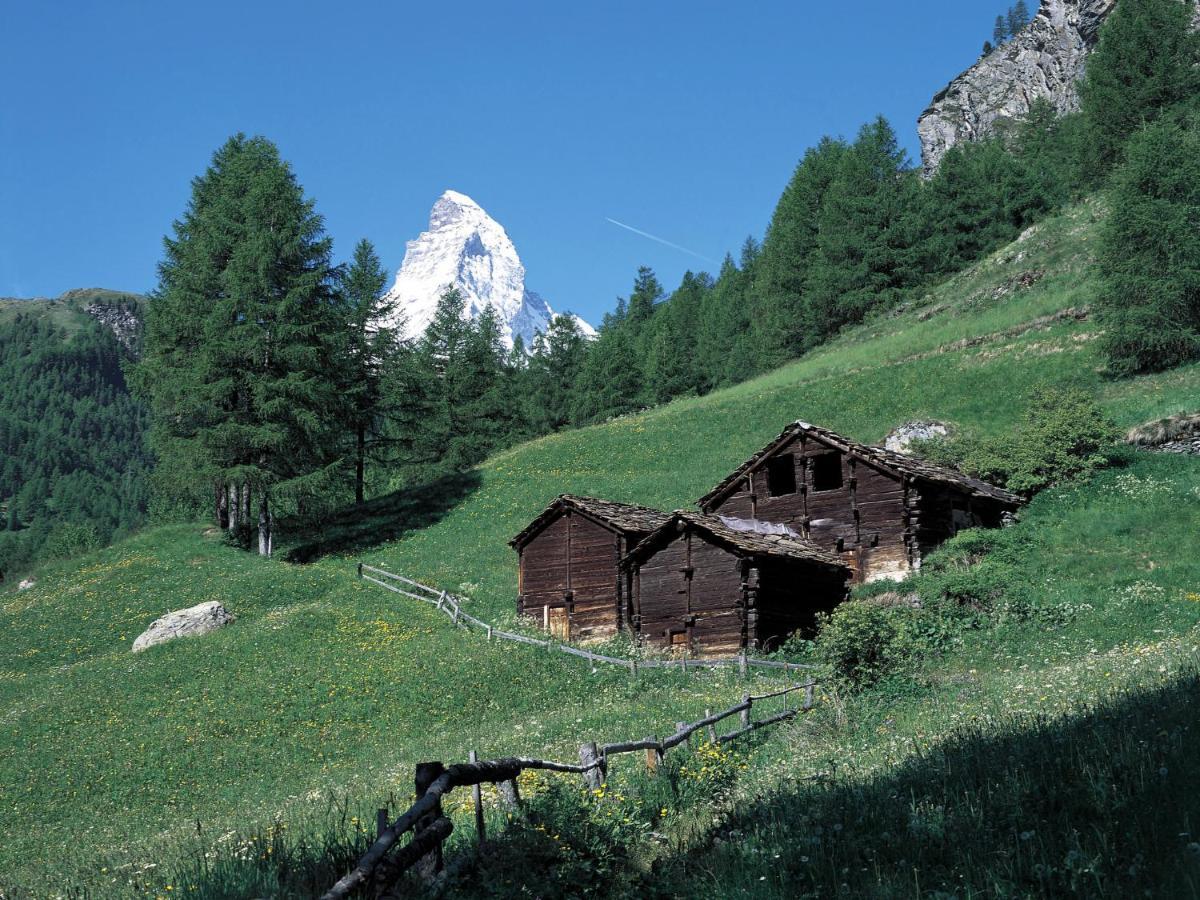 Apartment Chalet Dossen Zermatt Exterior photo